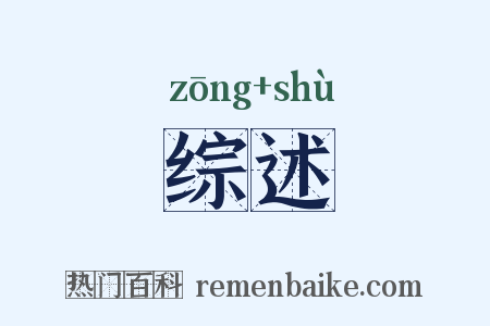 综述是什么意思的图片